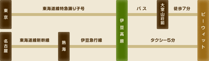 東京(東海道特急踊り子号)-伊豆高原(バス)-大室山荘前(徒歩5分)-ピーウィット／名古屋(東海道線新幹線)-熱海(伊豆急行線)-伊豆高原(タクシー5分)-ピーウィット